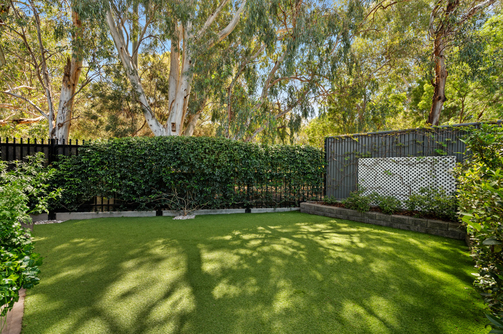 54 Riverview Drive, Paradise, SA, 5075 property image 24