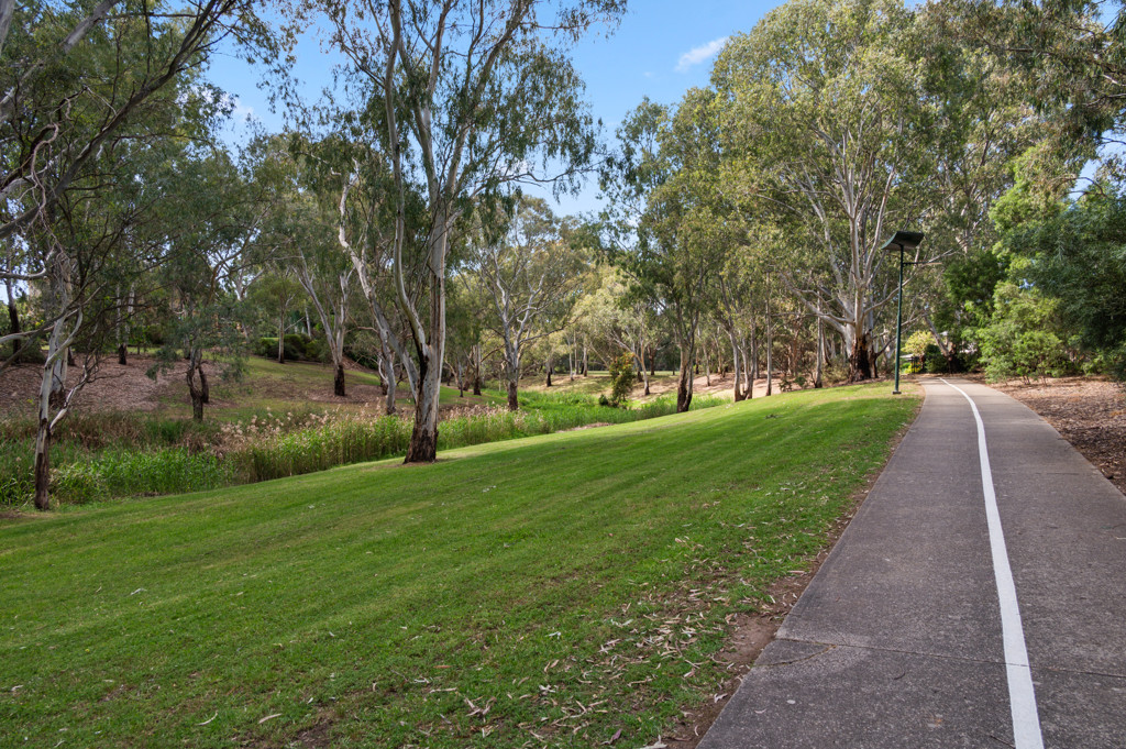 54 Riverview Drive, Paradise, SA, 5075 property image 25