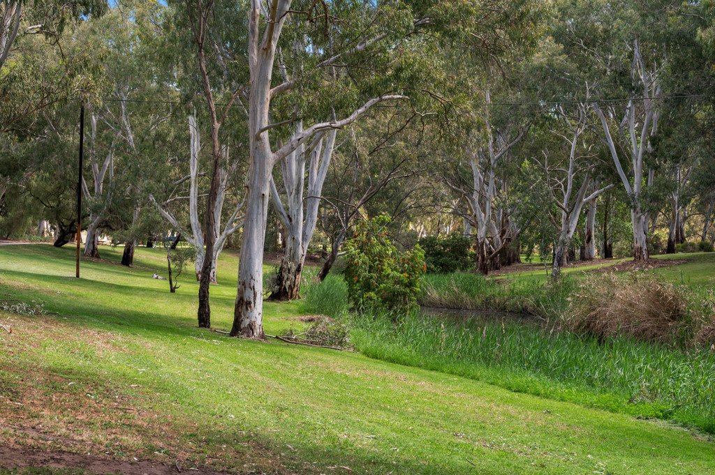 54 Riverview Drive, Paradise, SA, 5075 property image 26