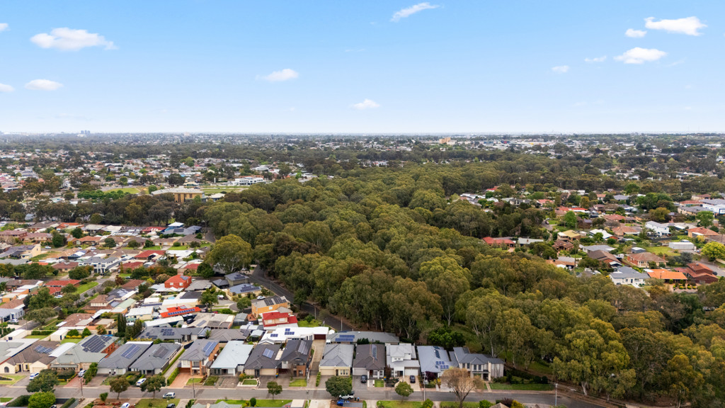 54 Riverview Drive, Paradise, SA, 5075 property image 28